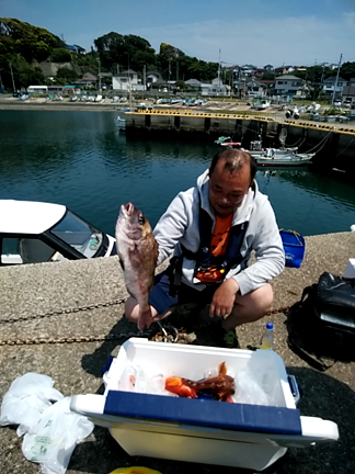 ザリガニで真鯛が釣れましたよ～の記事動画