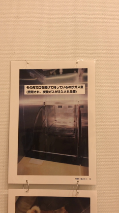 写真展(=^x^=) 命の境界線の記事動画