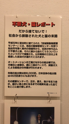 写真展(=^x^=) 命の境界線の記事動画
