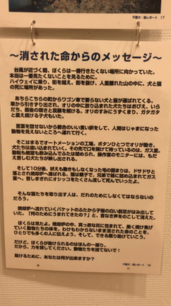 写真展(=^x^=) 命の境界線の記事動画