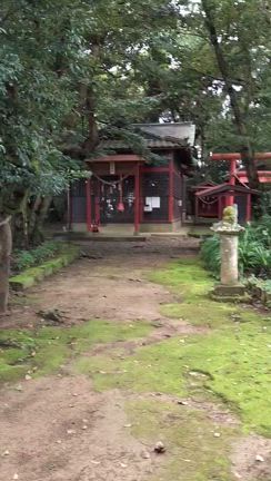 木花神社からの湧水で❁⃘*.ﾟの記事動画