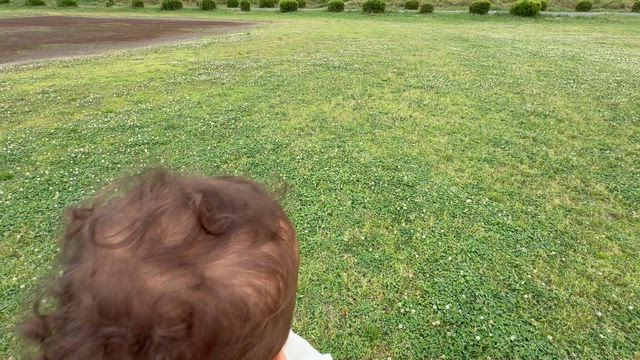 娘が「蝶々」を真似してくれました！の記事動画