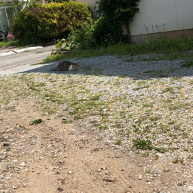 猜疑心と丁寧さ。の画像