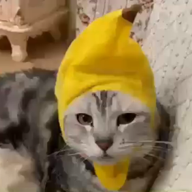 楽しんで〜の画像