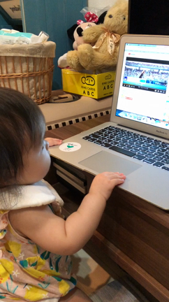 将来はOLになりたい、ぜよ！の記事動画