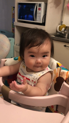 パパって言い始めた、ぜよ！の記事動画