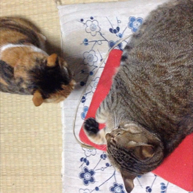 にけ完全復活？(~_~;)の画像
