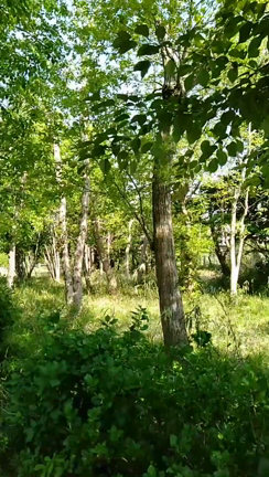 換気の凄ーくいい場所の記事動画