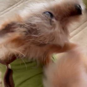 なんだか落ち着かない…の画像