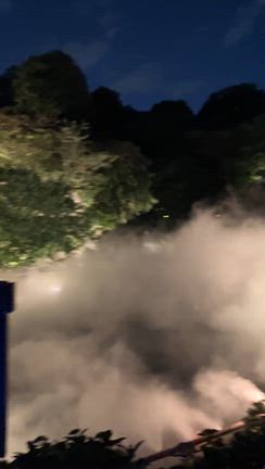 ホタルがいっぱい椿山荘の記事動画