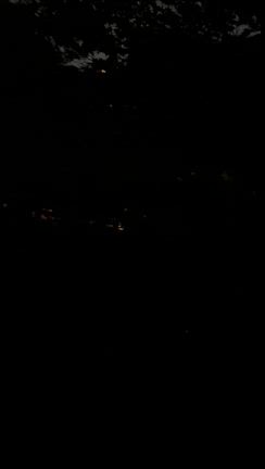 ホタルがいっぱい椿山荘の記事動画