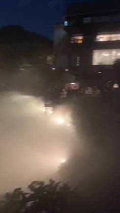 ホタルがいっぱい椿山荘の記事動画