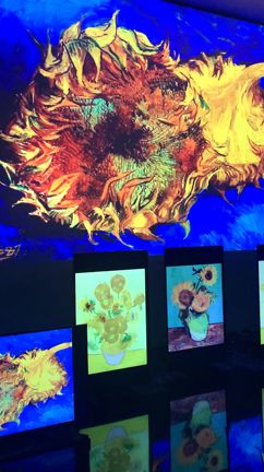 デジタルアート【ゴッホ展】に行ってきたの記事動画