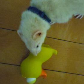 サンタさんの画像