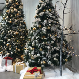 サンタさんと写真の画像