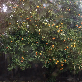 風が強い日の画像