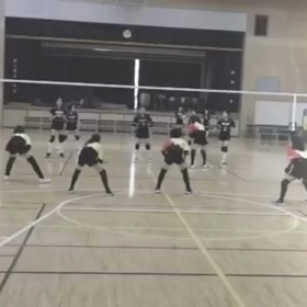 エコカップの画像