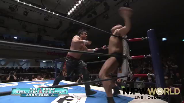 ごっちゃんですの記事動画
