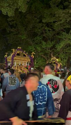川崎山王祭にてお神輿をかつがせていただきましたの記事動画