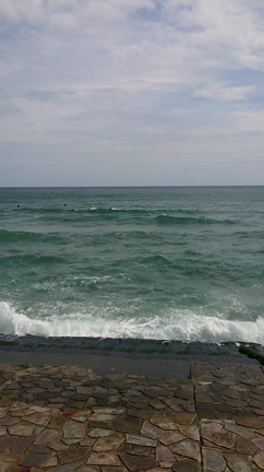 お知らせ  &  お花   &   浄化の記事動画