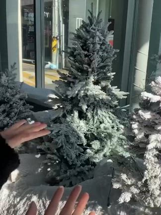 屋内に雪の世界❄の記事動画