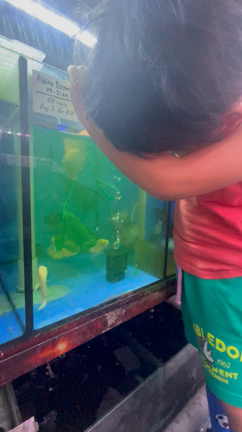 新しい魚を探しにの記事動画