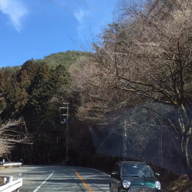 T2 レイト 初遠出の画像
