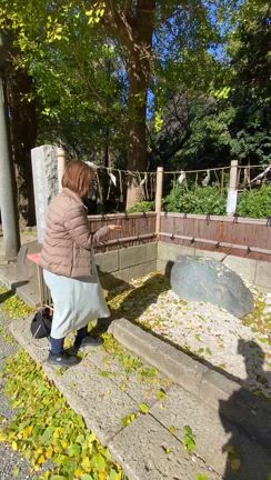 爆笑珍道中鎌倉ツアー①葛原岡神社〜の記事動画
