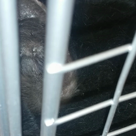 助けてくださいの画像