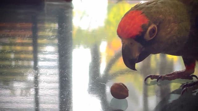 週末のこと〜そのニの記事動画