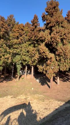 ラウンド後記⛳️広陵カントリークラブ（栃木県）の記事動画