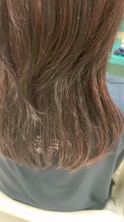 どんな髪の色が好きですか？の記事動画