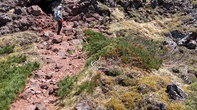 ツクモグサに会いに八ヶ岳へ 06.10〜06.11.2026 ①の記事動画