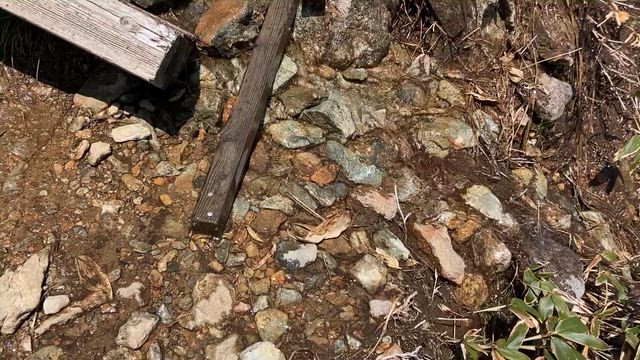 お花と絶景を求めて谷川岳へ〜 06.17.2026 ①の記事動画