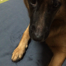 よし。。。。ナウの画像