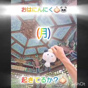 2024/08/26の画像