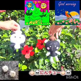 2024/08/06の画像