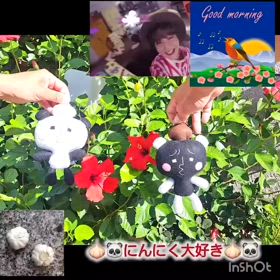 2024/08/10の画像