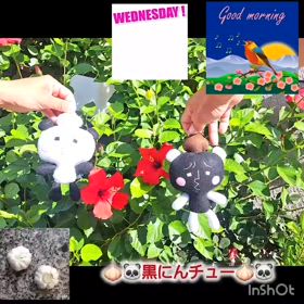 2024/08/07の画像