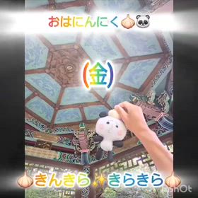 2024/08/30の画像