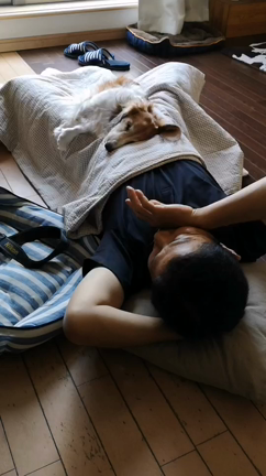 ばんちゃんつーの記事動画