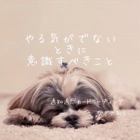 2024/02/12の画像