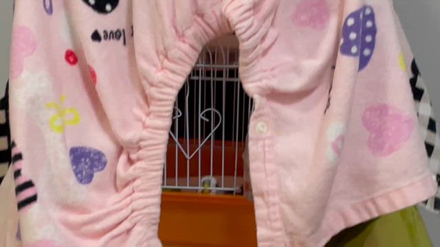 お願いだから安静にして（涙）の記事動画
