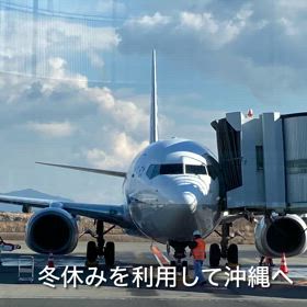 冬の沖縄旅行の画像