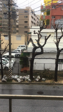 おはようございます...！！！！の記事動画