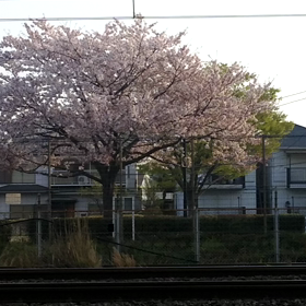 B.B.BASE TRAIN 秋の日程の画像