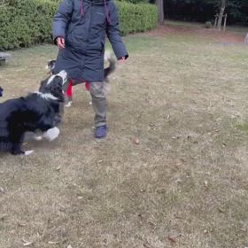 受け身からの脱却の画像