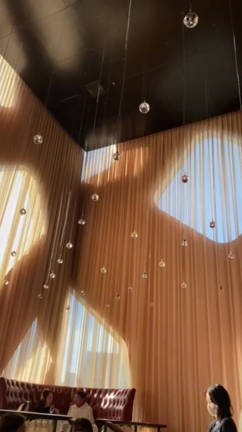 コースランチの記事動画