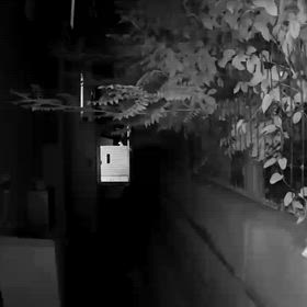 最後の晩餐の画像