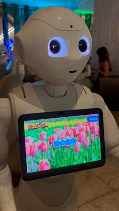 東急プラザ５階 Pepper Porlor✨総本部近くのご紹介シリーズの記事動画